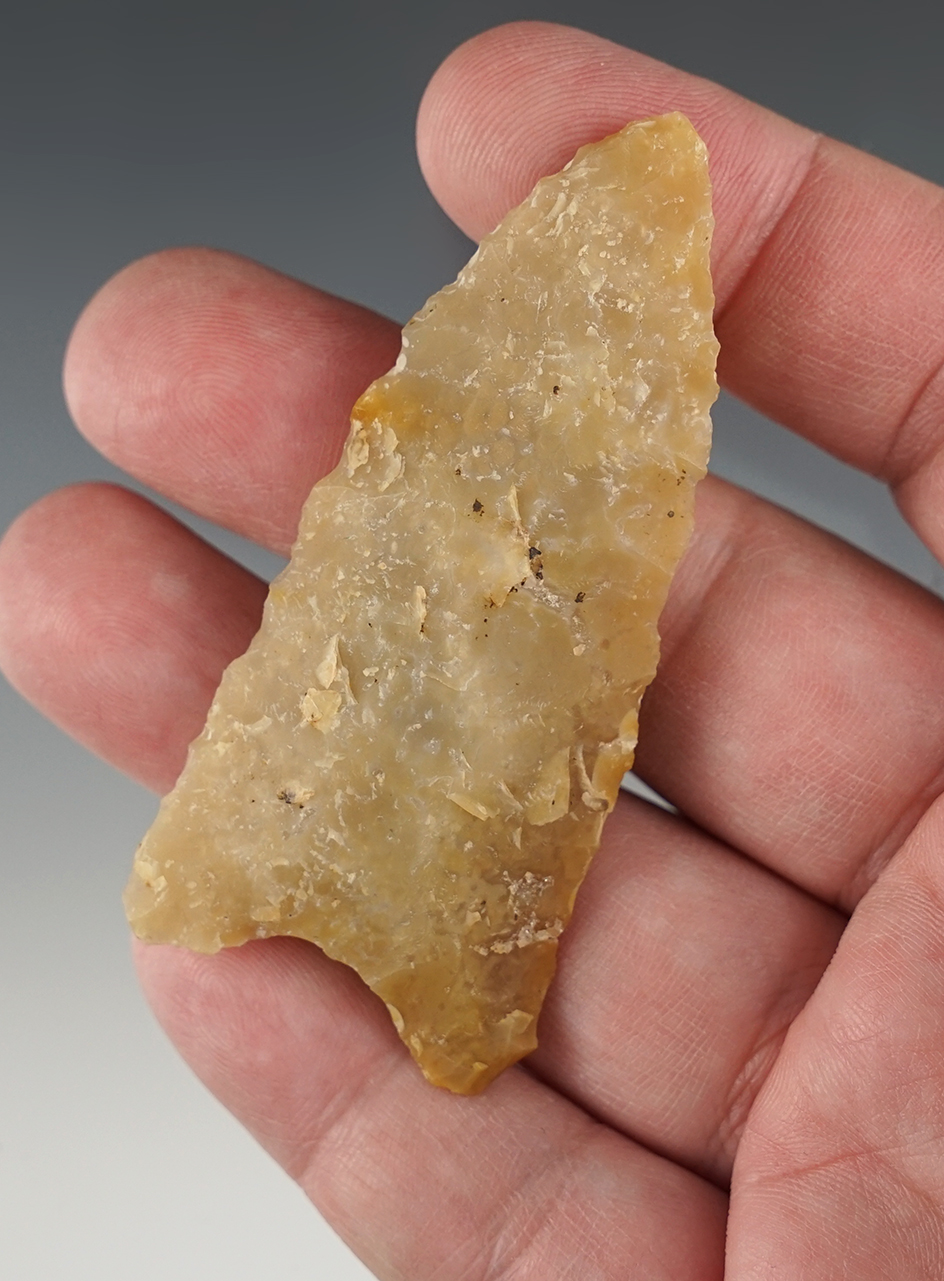 2 15/16" Paleo Lanceolate found in Florida.