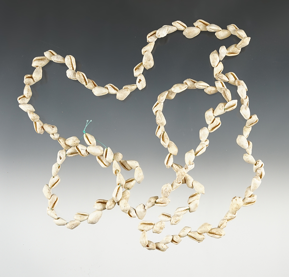 36" Strand Shell Beads in great condition.