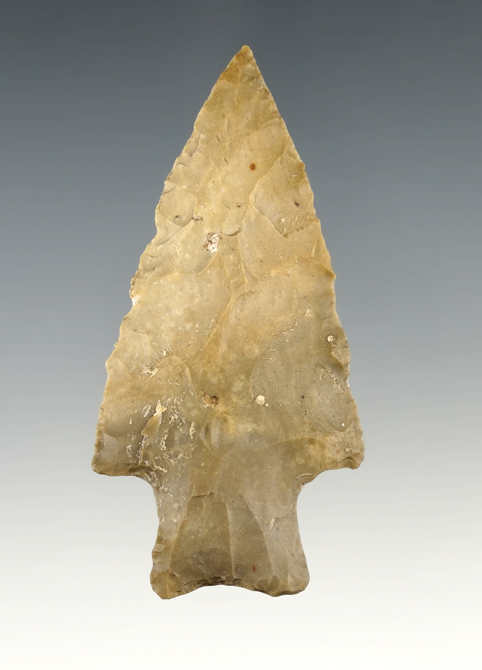 2 5/8" Pedernales found in Coryell Co., Texas. Comes with a Rogers COA.