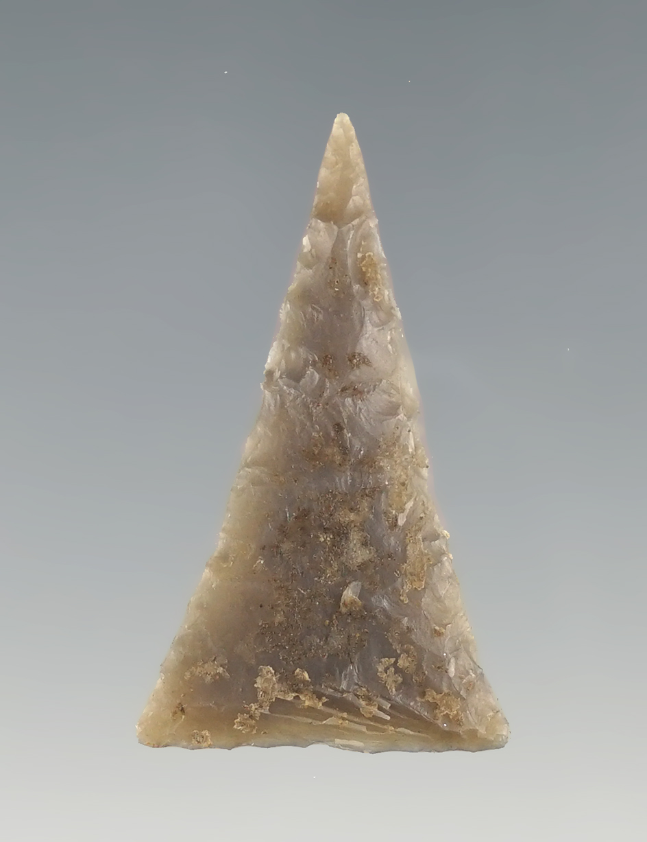 1 5/16" Superb Madison Triangle found in Wayne Co., Kentucky.