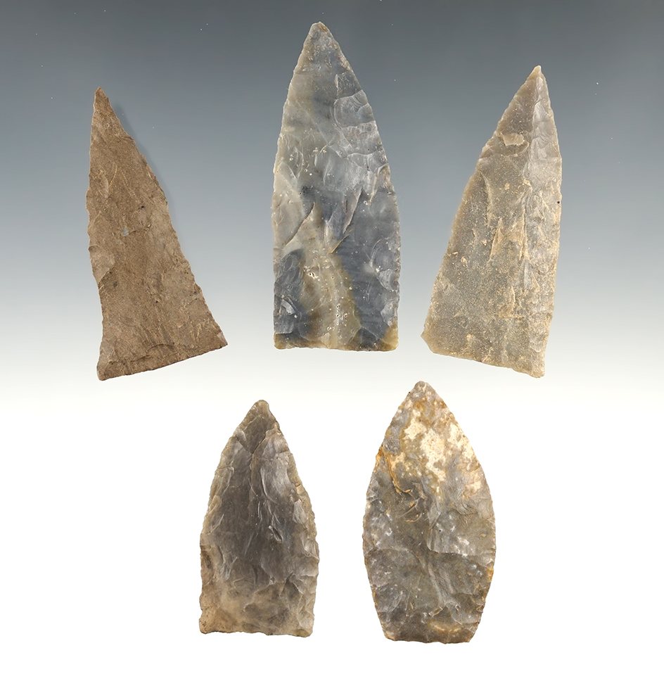 Set of 5 well made Triangle points found in Tennessee/Kentucky. The largest is 2 1/2".