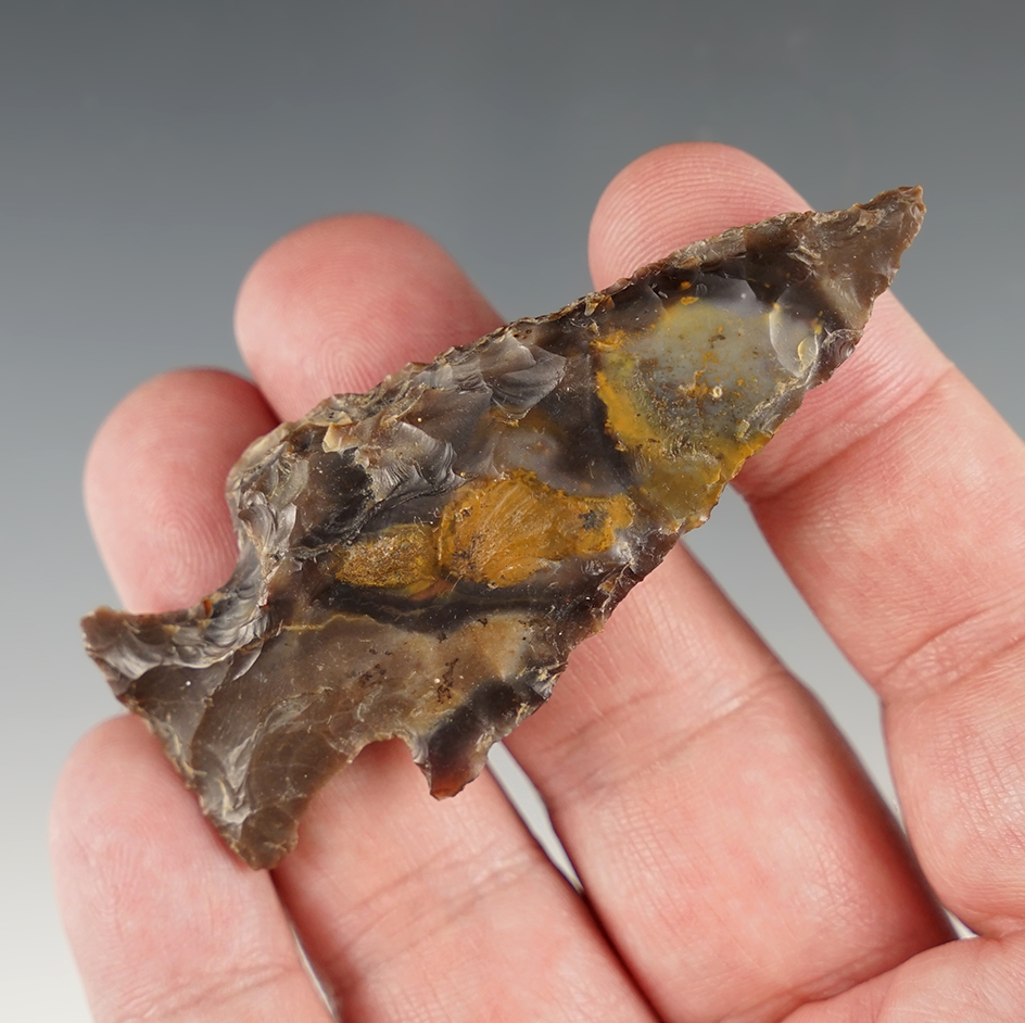 2 7/8" Classic Chilcotin Plateau found in Klickitat Co., Washington.