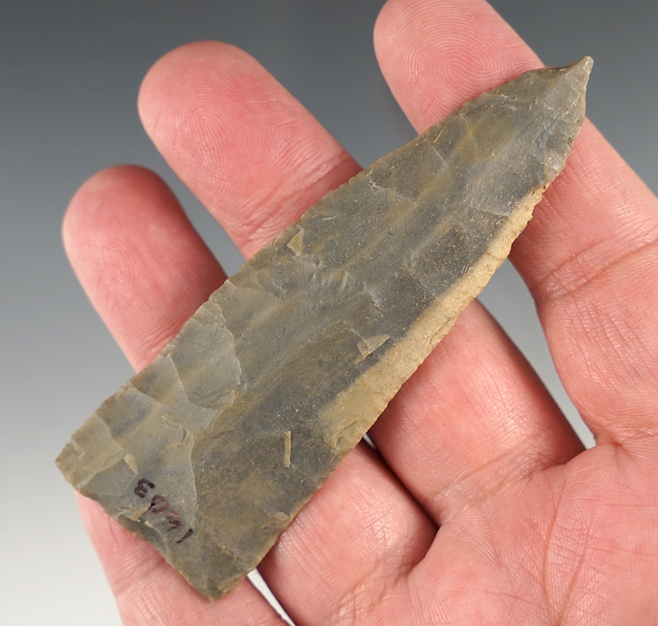 Nice 3 9/16" Hornstone Copena found in Trigg Co., Kentucky.