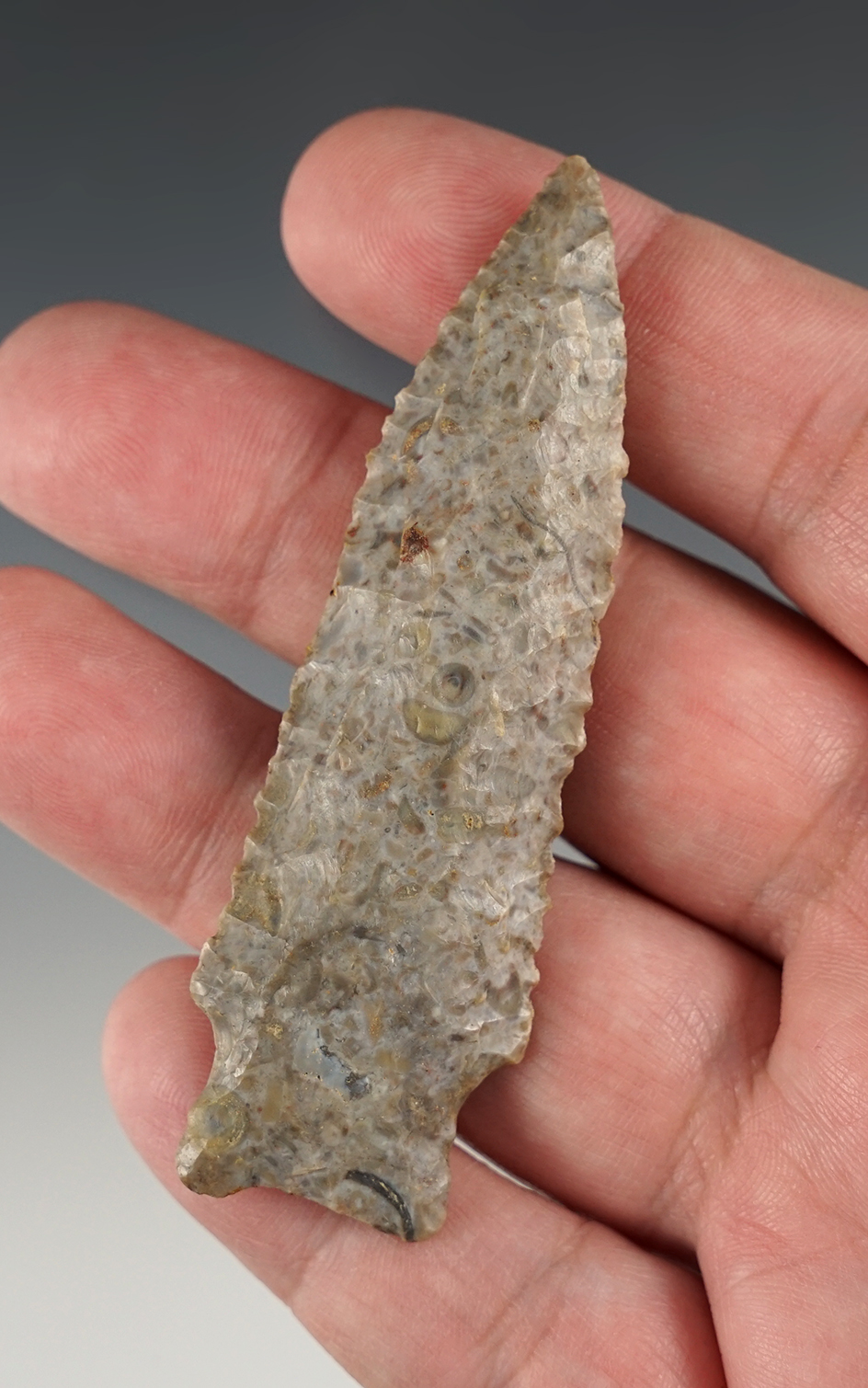 Superb! 3 3/16" Heavy Duty found in Kentucky. Classic form.