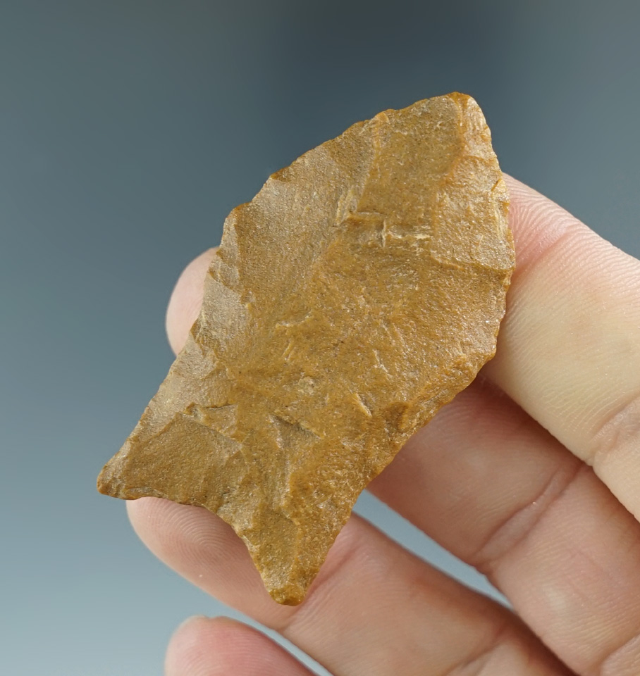 1 15/16" Pelican Point. Found by Glen Jones in August of 1997 in Miller Co., Arkansas.  Perino COA.