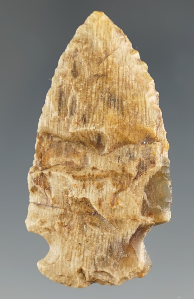 1 7/8" Pelican Lake made from gray and brown Petrified Wood, found in Colorado.  Davis COA.