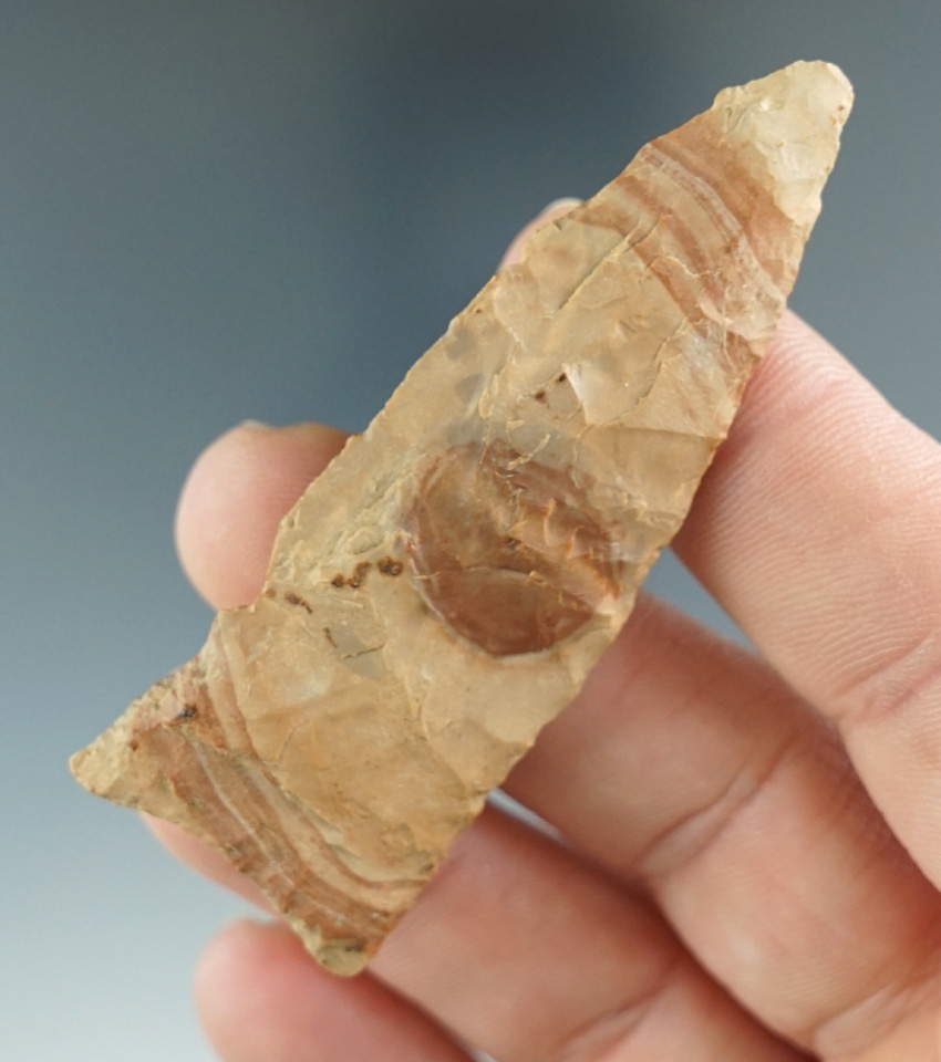 Unique material - 2 9/16" Plainview made from tan Rancheria Chert.  New Mexico. 2 COA's.