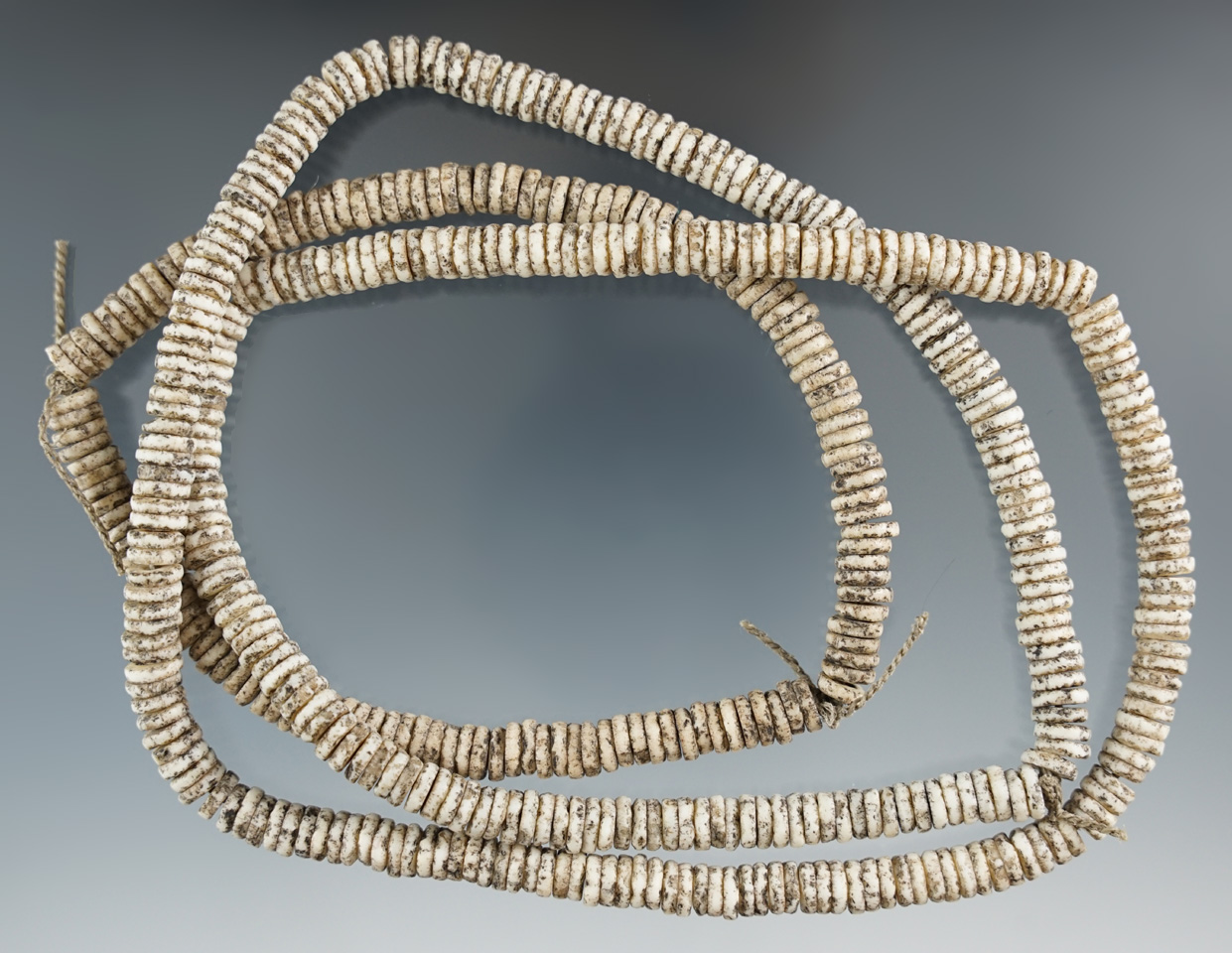 Two strands of drilled shell beads, one is 26" and the other is 10".