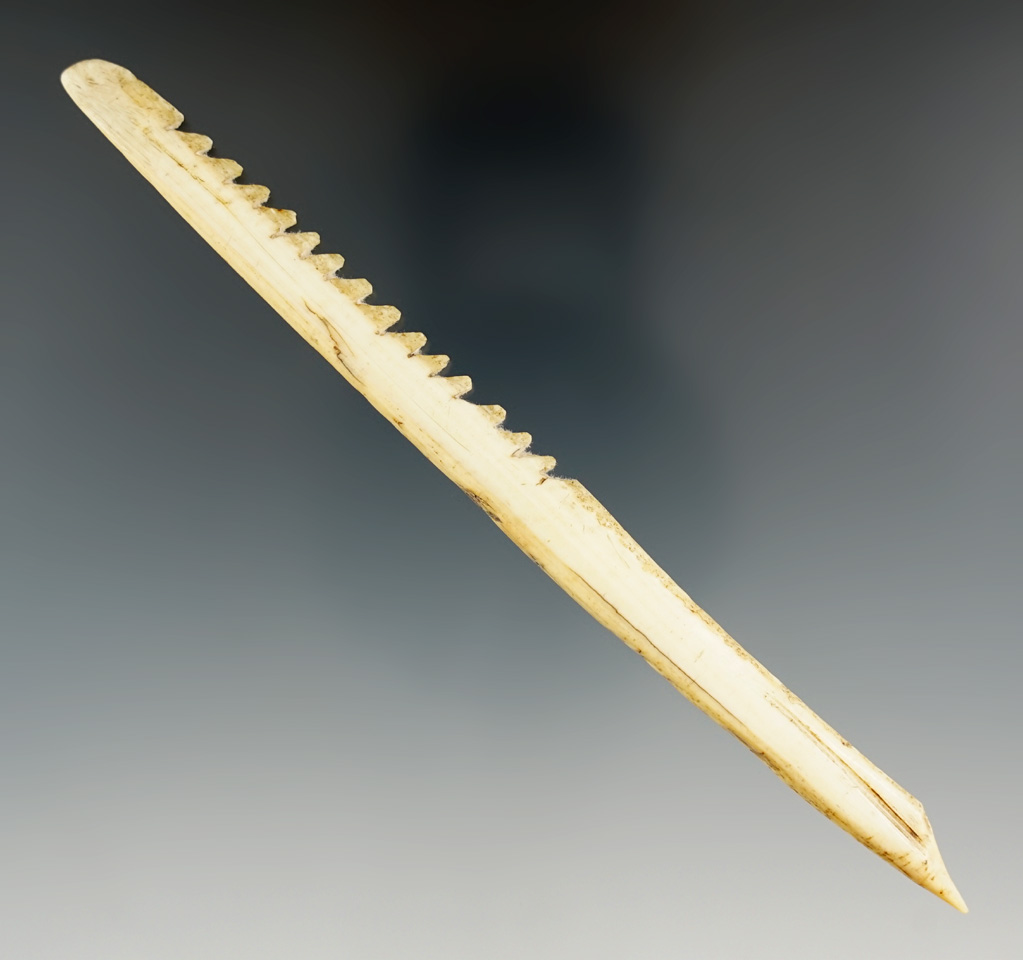 Heavily serrated 5 5/8" Ivory Harpoon Tip found in Alaska.