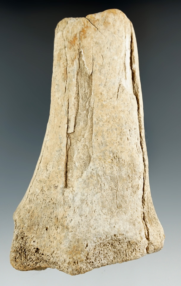 4 5/8" Bone Atlatl handle found in Kentucky.