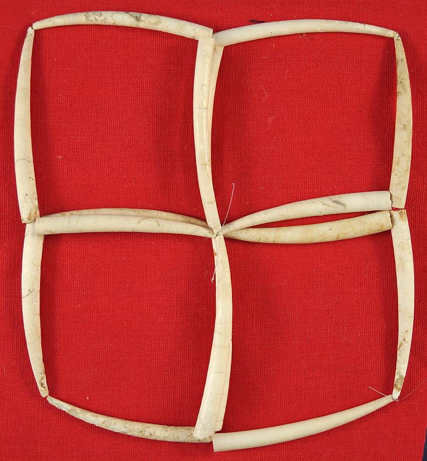 Nice set of 16 Dentalium shell beads found at a site near the Columbia River.