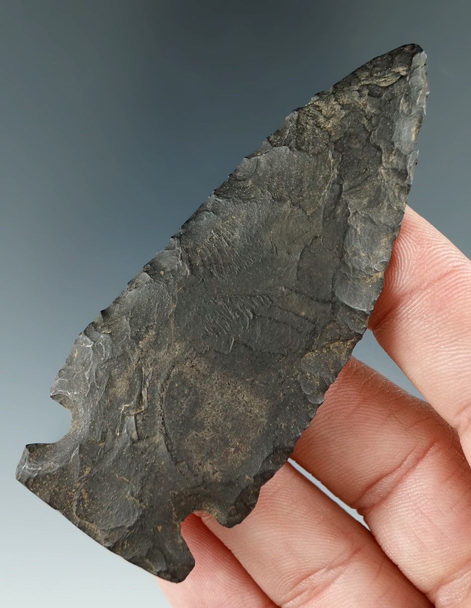 Nicely flaked 3 1/8" Otter Creek found in New York.