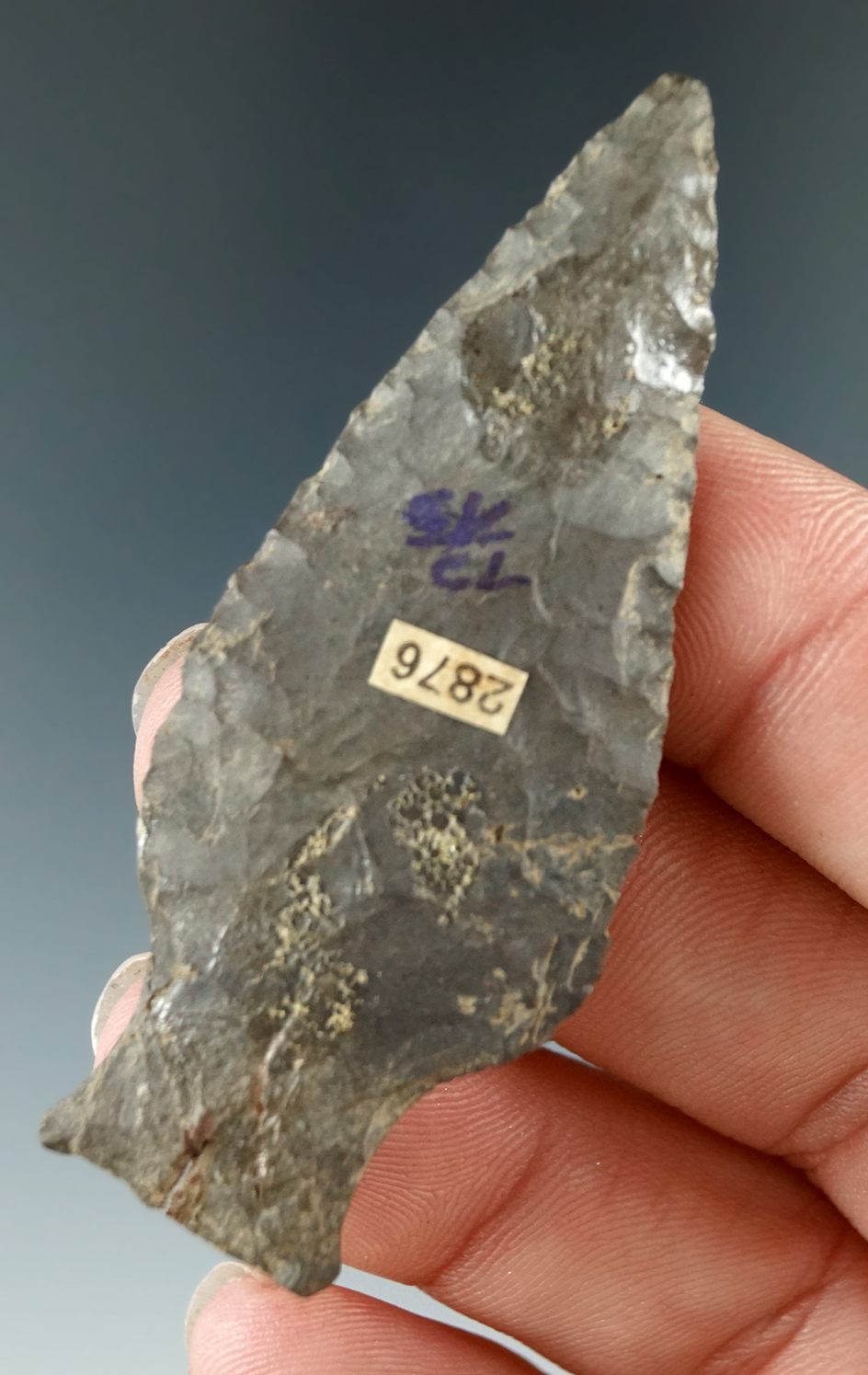 2 3/8" Dart point found in New York.