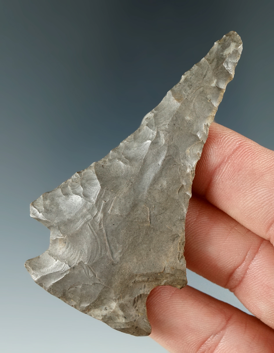 2 13/16" Susquehanna Broad Drill - Onondaga chert - Allegheny Co., near Belfast New York.