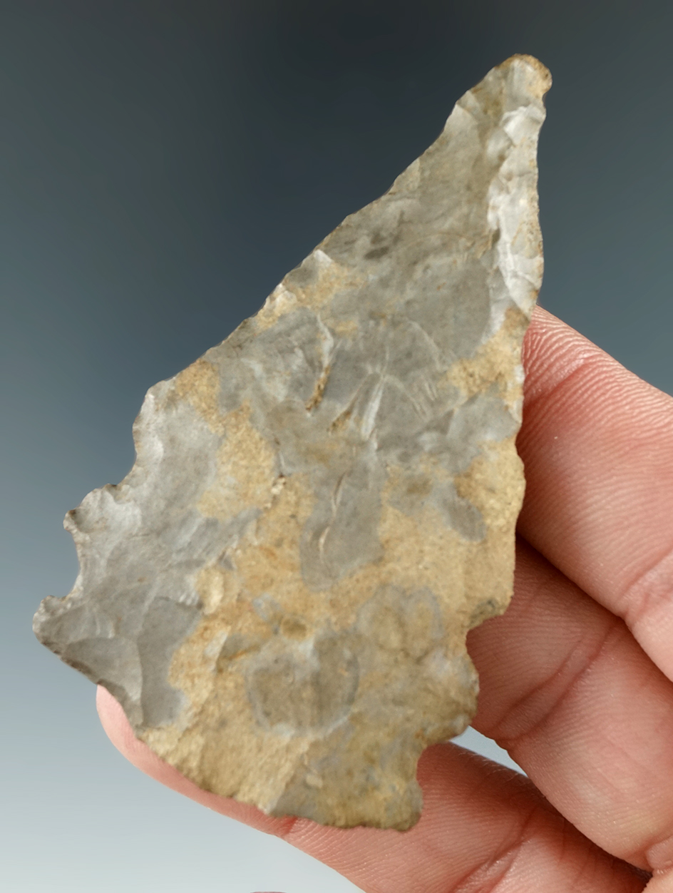 2 11/16" Unique Double Notch Meadowood found in Steuben Co., New York. Ex. Howdy Lang.