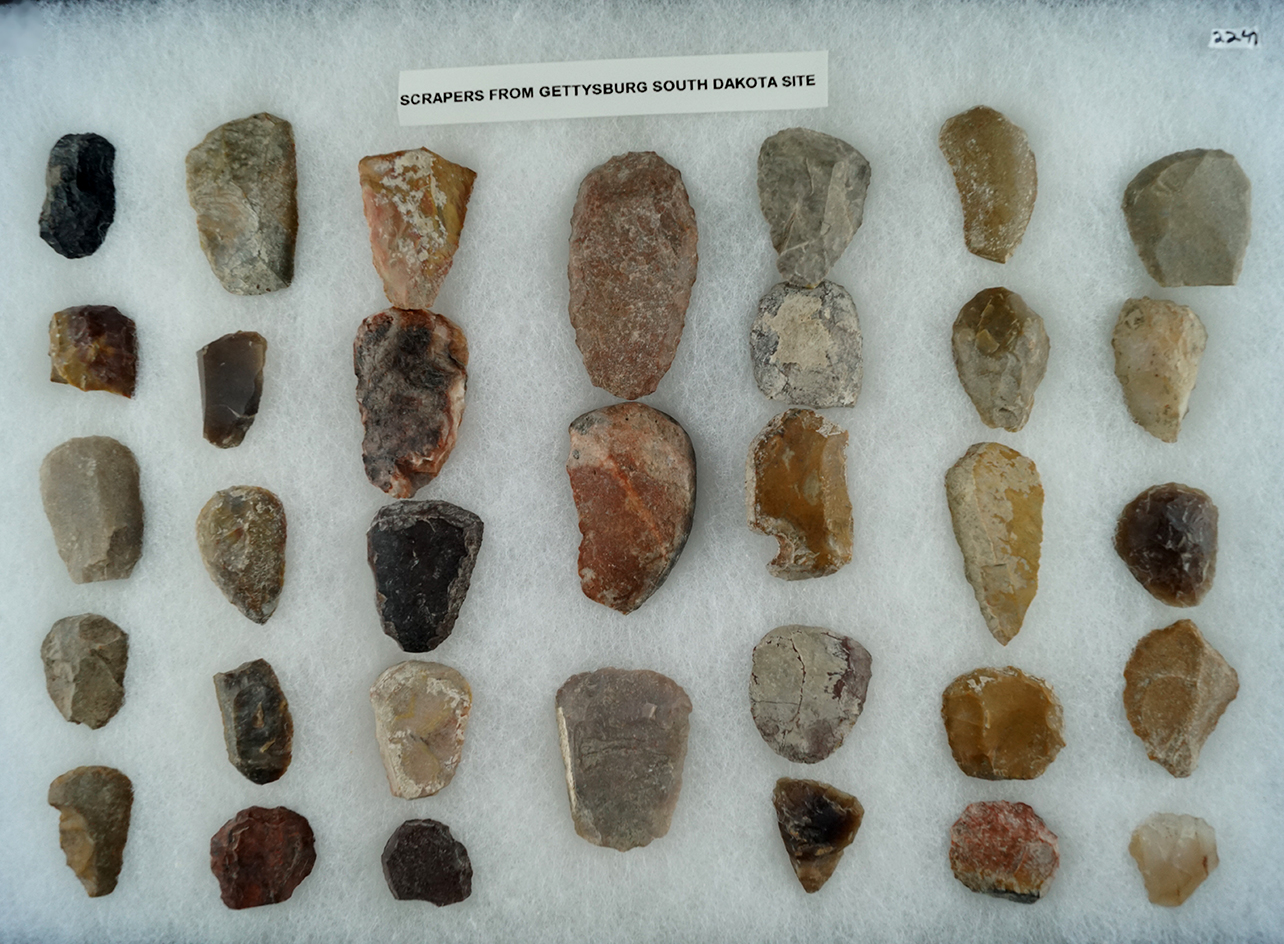 Large group of assorted Scrapers found in Gettysburg, South Dakota.