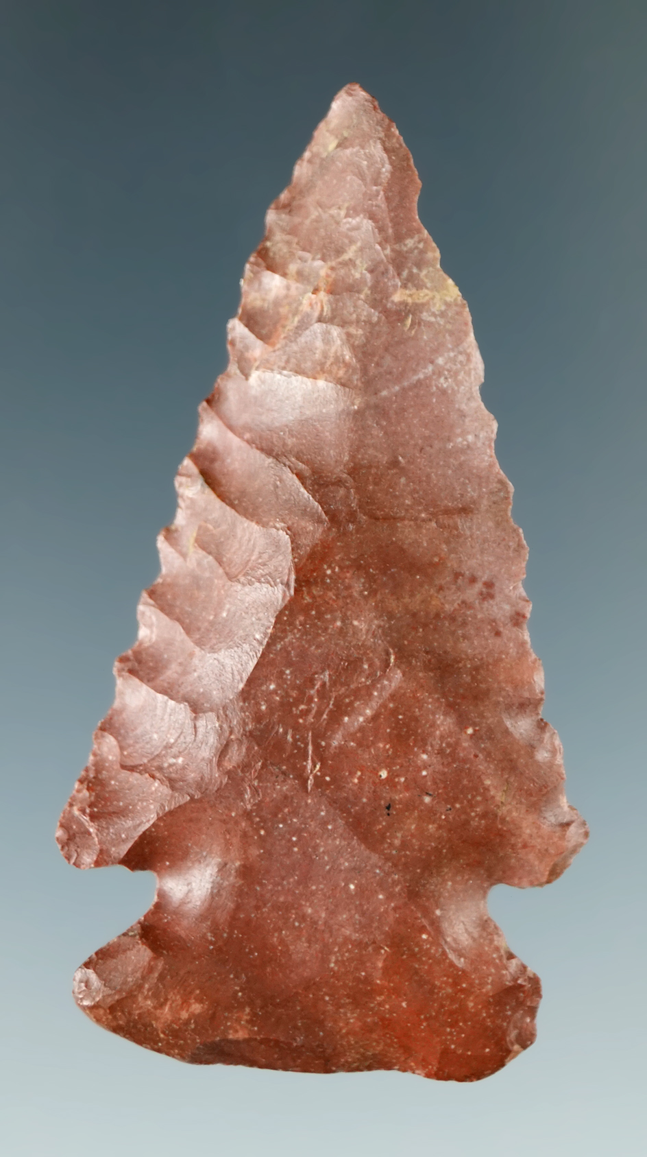 2 1/4" Archaic Cornernotch Bevel found in Mississippi made from attractive red Flint.