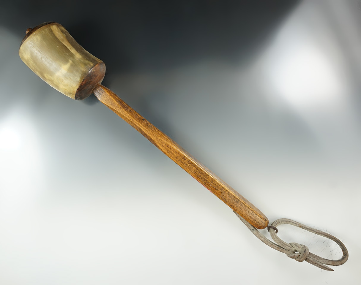 12" overall length vintage Seneca horn rattle from New York in excellent condition.