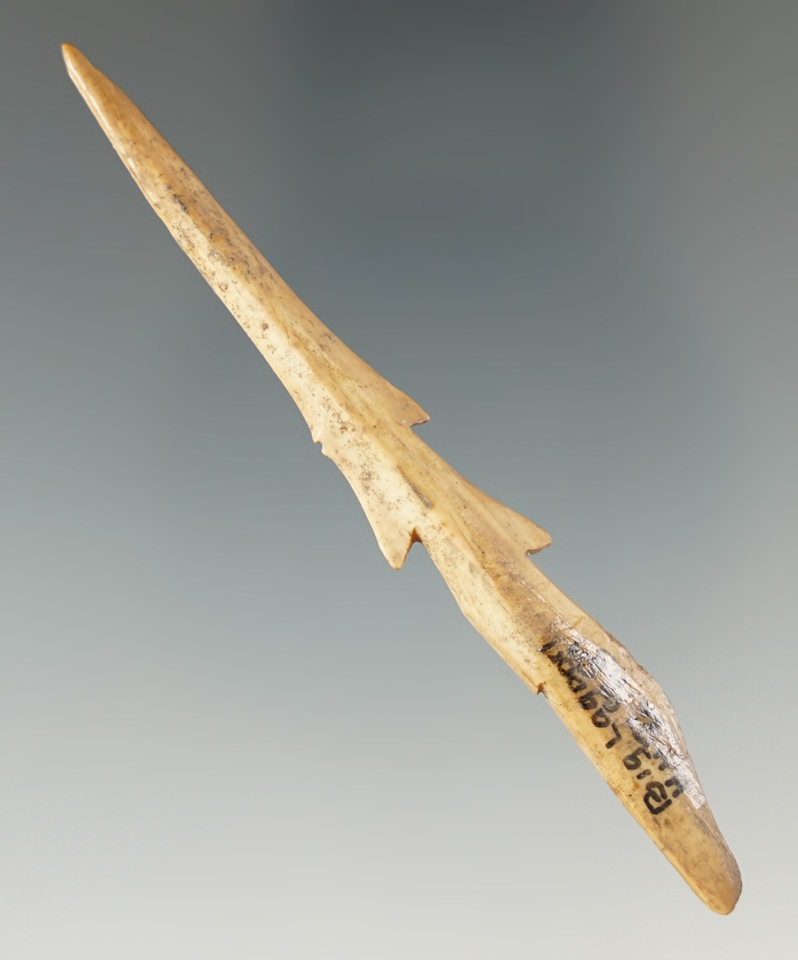 Well styled 3 5/8" barbed bone harpoon tip found near Big Lagoon, Humboldt Co., CA.