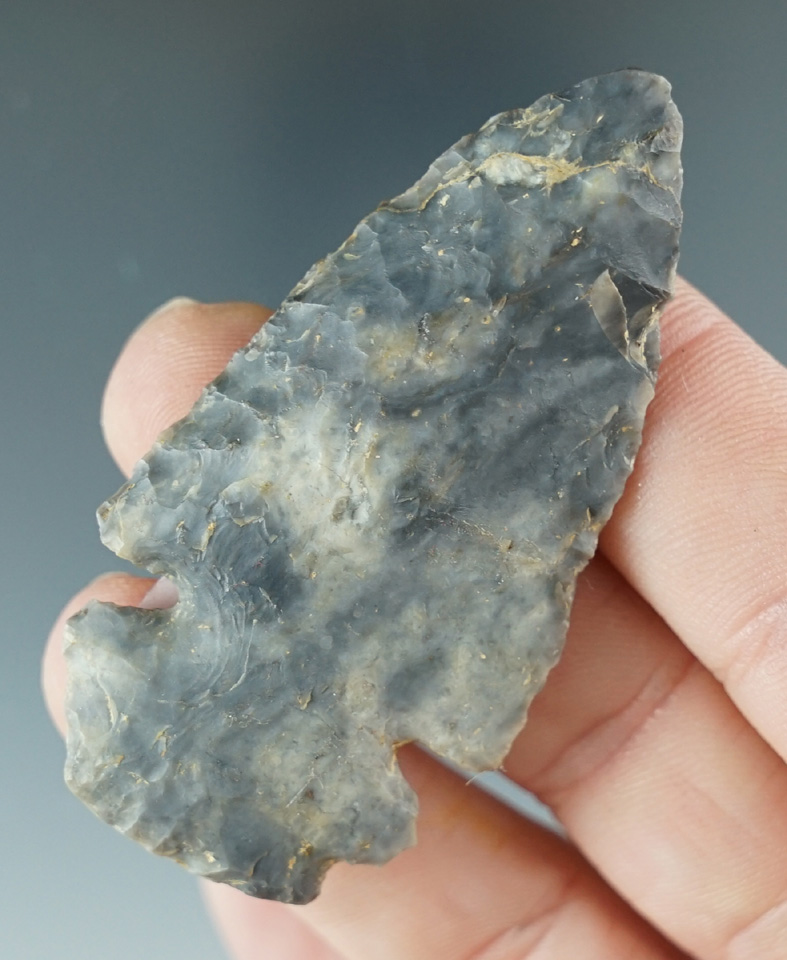 Beautiful material on this 2 3/8" Dovetail found in Wood County West Virginia. COA.