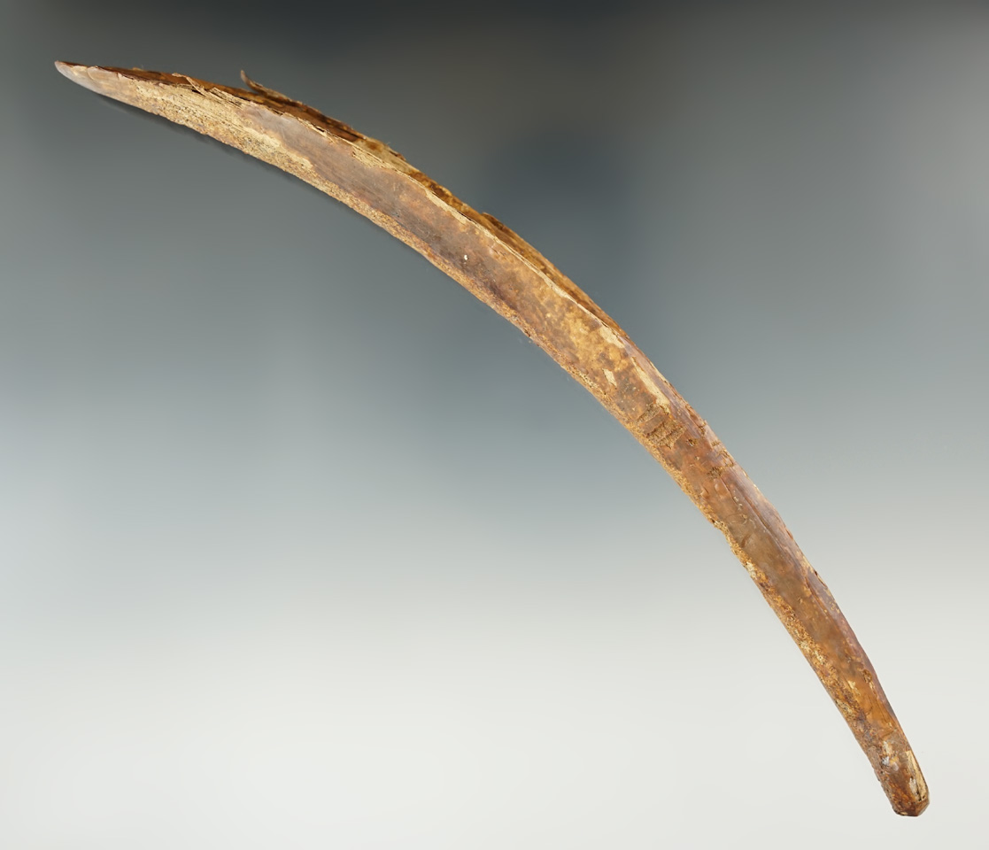 Very old 7 7/8" Inuit bone tool recovered in Alaska.