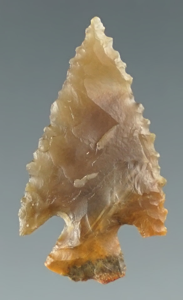 1 1/16" Cornernotch point - beautiful material with nice edge serrations - Colorado.