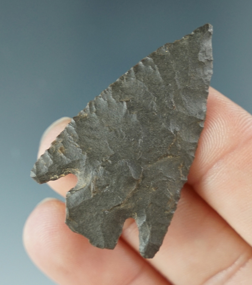 1 3/4" Basal notch with excellent flaking from the Southwest - four corners area.