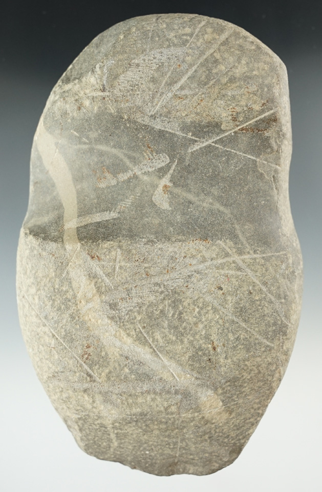 6 1/4" long uniquely grooved Axe found in Accomack Co., Virginia.