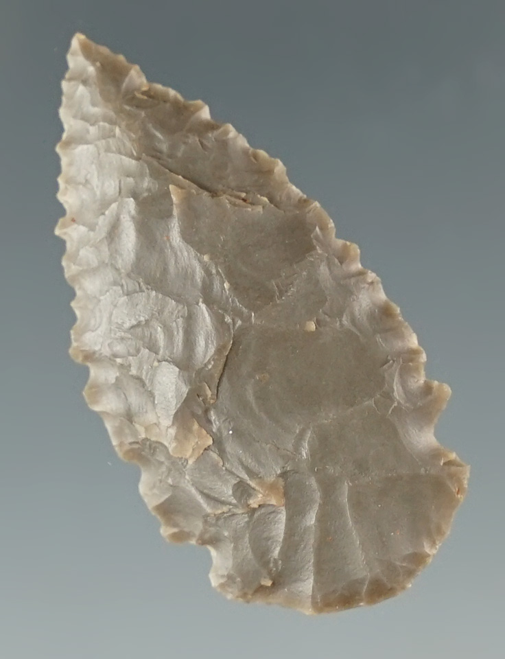 1 3/8" Sidenotch with nice serrations found in the four corners area of the Southwest.