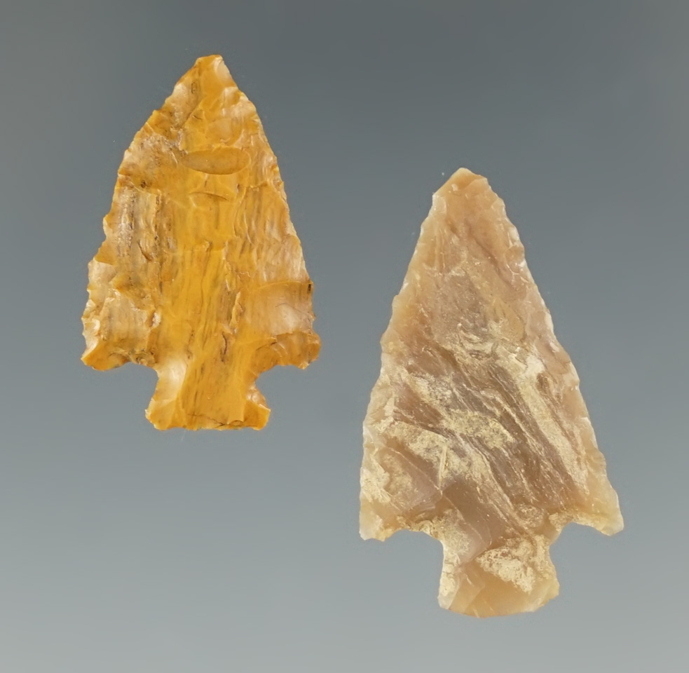 Pair of petrified wood arrowheads found in Colorado, largest is 1".