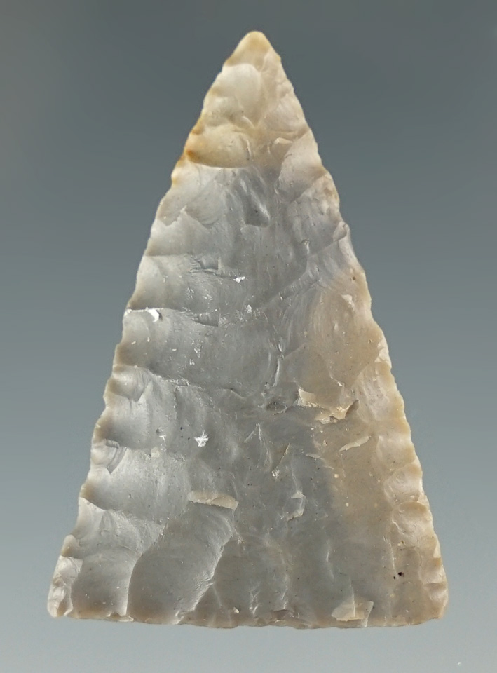 Excellent flaking ! 1 1/2" Mississippian triangle point found in Lancaster County PA.