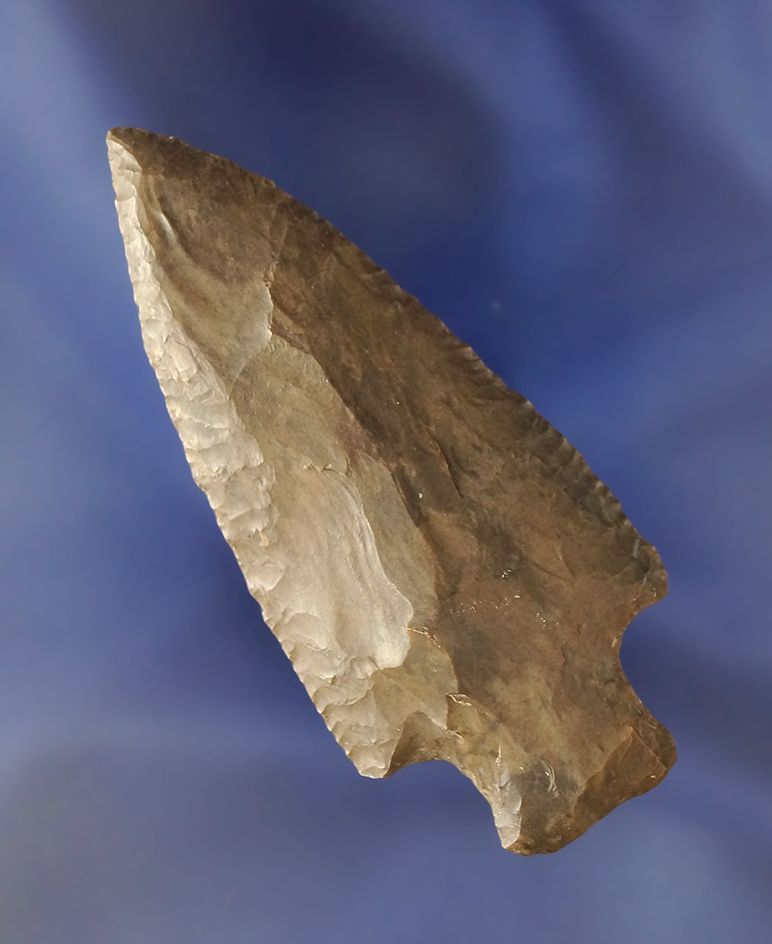 Beautiful 2 13/16" Dover chert Cotaco Creek - Tennessee -y nice edge flaking.  Jackson COA.