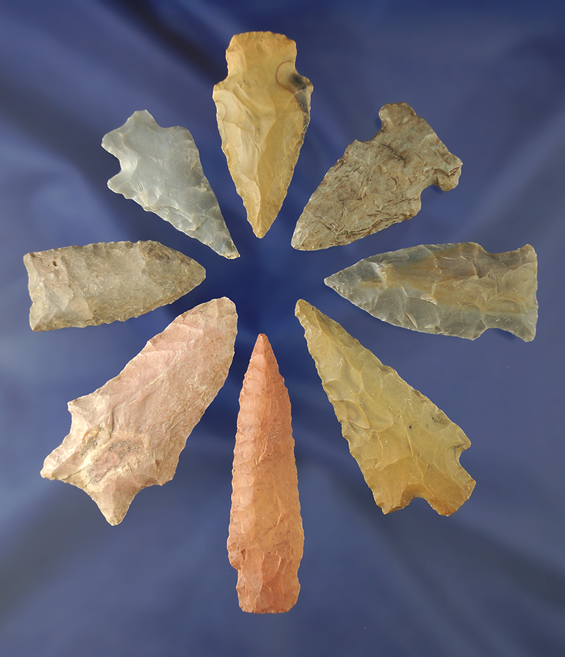 Set of eight assorted arrowheads found in Alabama in Tennessee, largest is 2 11/16".