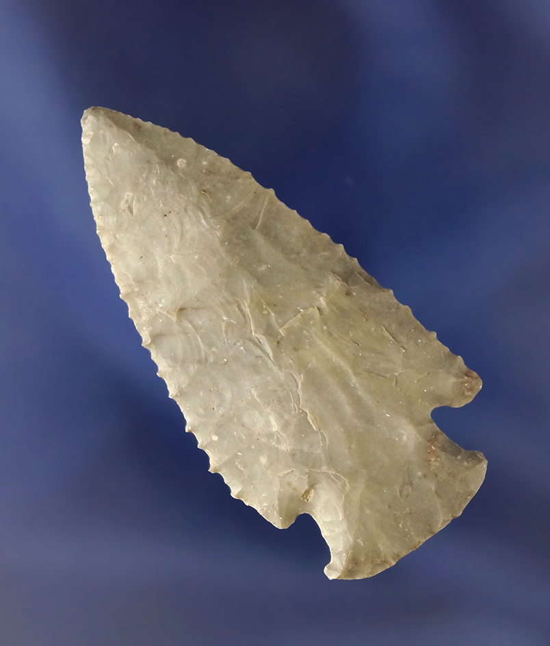 Greg Perino Personal Find! Exceptional micro-serrations on the edges of this thin 2 1/8" Hardin poin