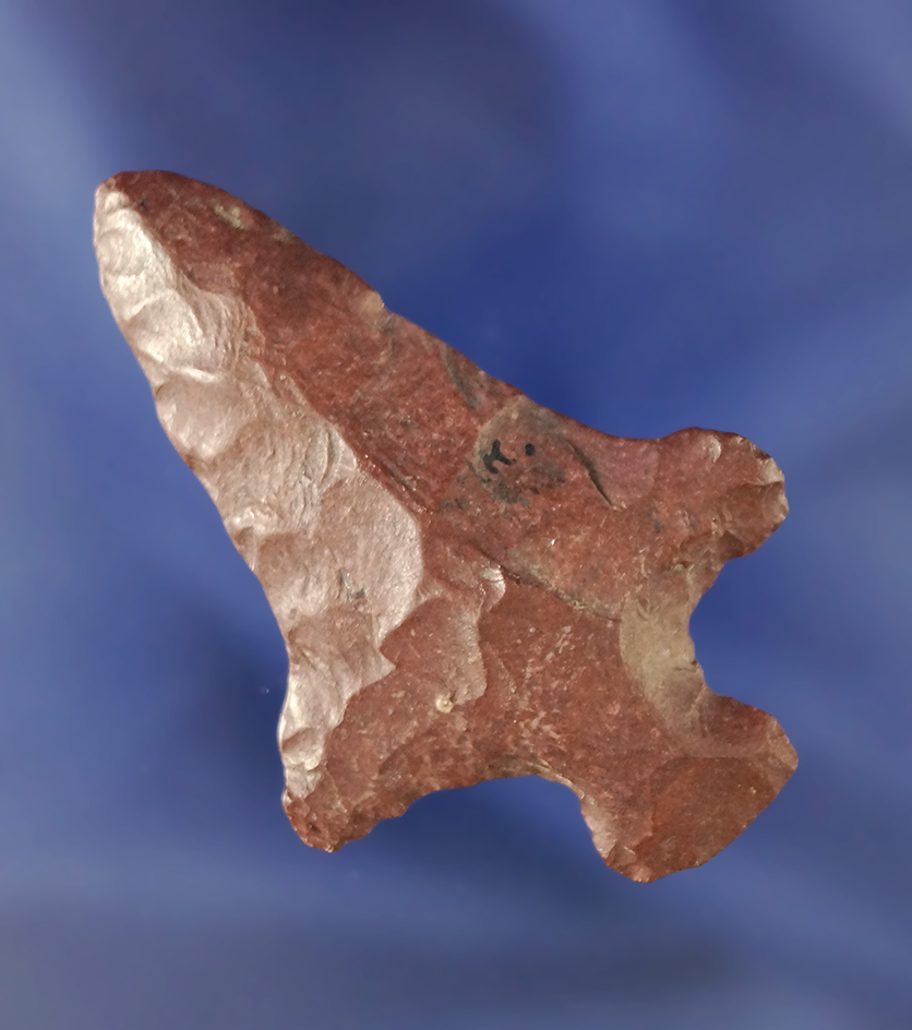 Ex. Perino! Catahoula point- Louisiana. Ex. Greg Perino collection. Certificate of origin.