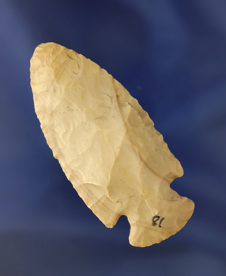 Very nice flaking on this 2 5/16" Ocala point found in Lee Co.,  Arkansas. Partain COA.