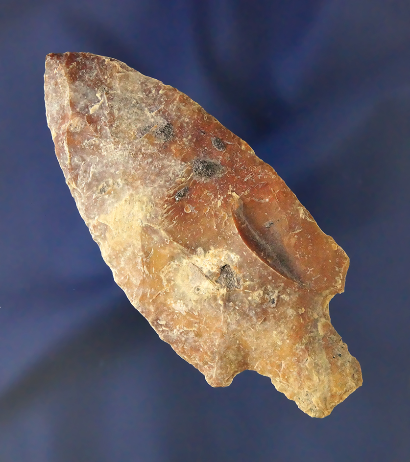 3 7/16" Newnan point found in Florida.