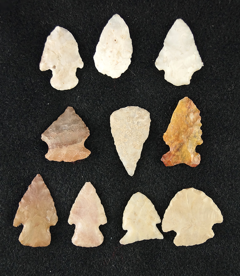 Set of 10 assorted arrowheads, largest is 1 1/8". Found in Chaves and Eddy Co.,  New Mexico.