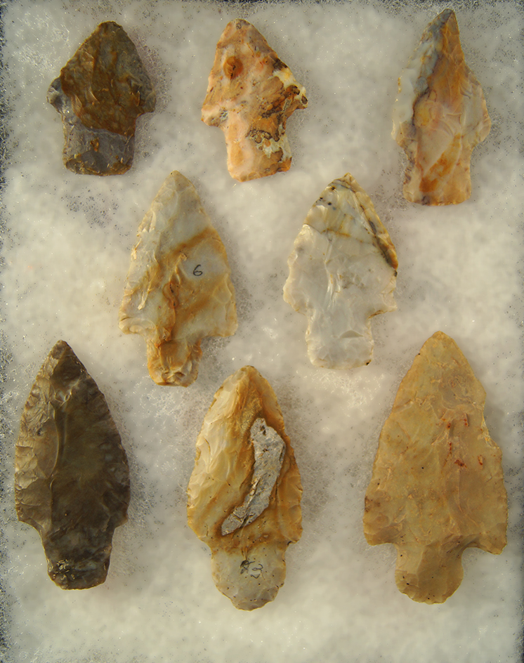 Set of 8 Flint Ridge Flint Arrowheads found in Ohio. Largest is 3".
