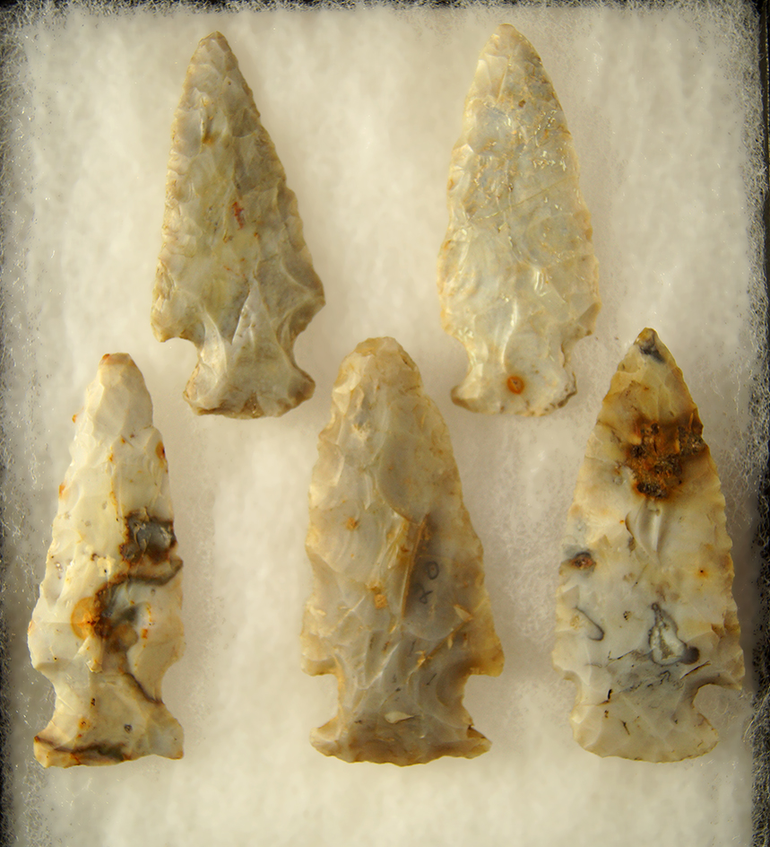 Set of 5 Flint Ridge Flint Hopewell Arrowheads, largest is 2 3/4".