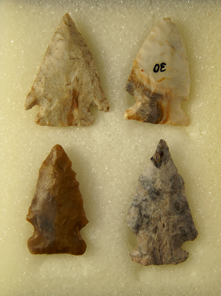 Set of 4 Nice Ohio Arrowheads, largest is 1 13/16".