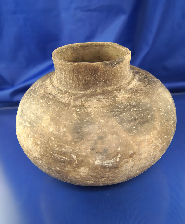 Large 7 3/4" Wide Mississippian Waterbottle in solid condition. Found at the Campbell site