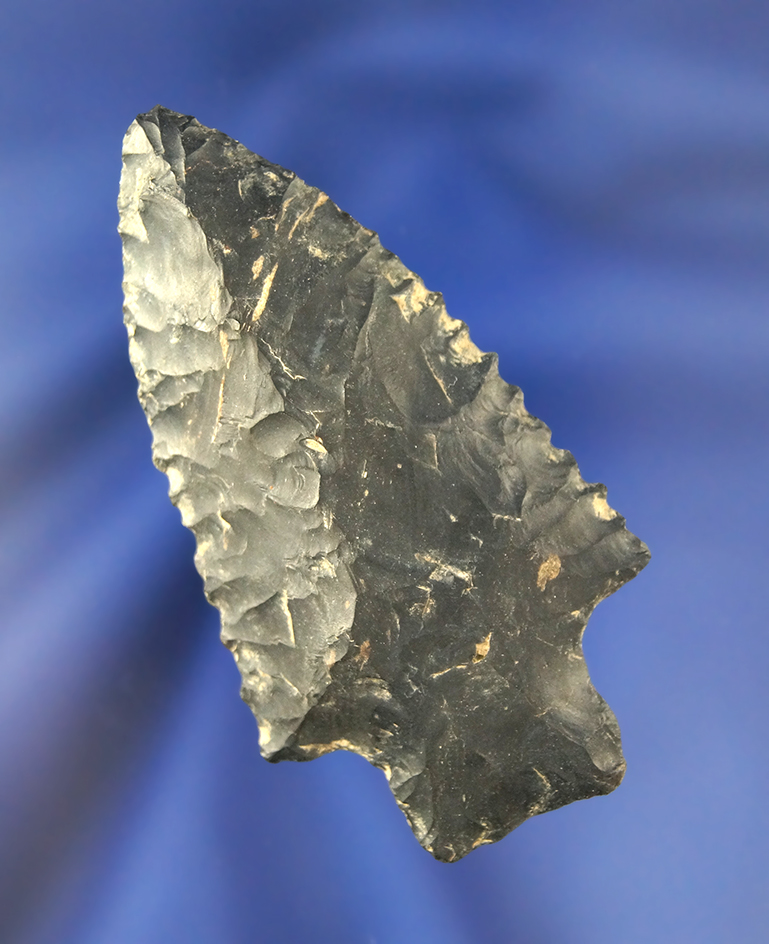2 5/8" Coshocton Flint Heavy Duty with excellent edge serrations found in Knox Co., Ohio.