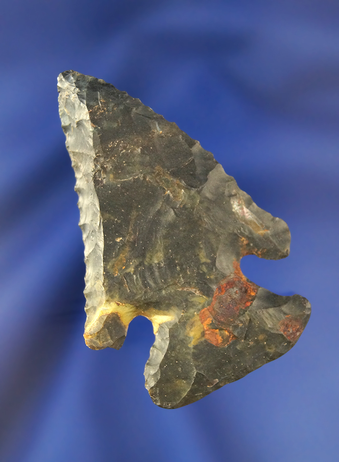 2 5/16" Coshocton Flint Archaic Thebes Bevel found in Knox Co., Ohio.
