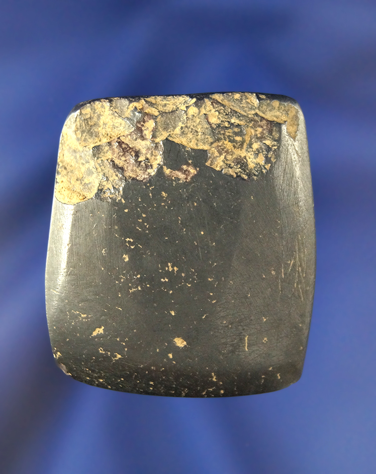 1 5/8" well polished Miniature Hematite Celt found in Knox Co., Ohio.