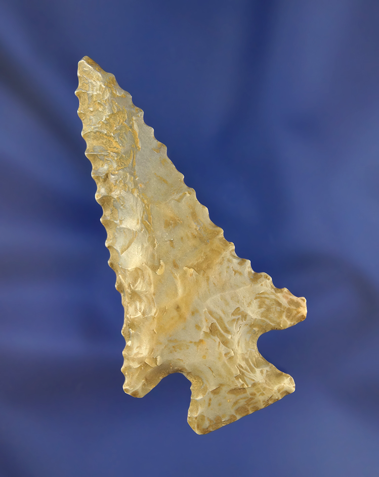 2 7/8" Hornstone Pinetree found in Kentucky with nice serrations. Ex. Rocky Hall Collection.