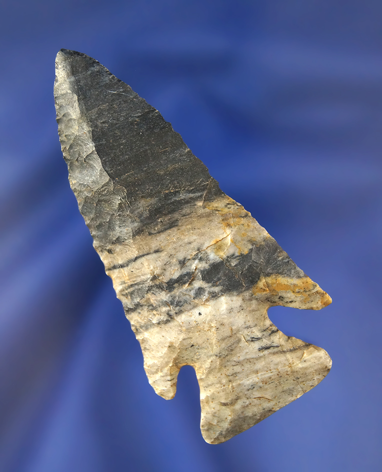 2 15/16" Mottled Coshocton Flint Archaic Bevel found in Richland Co., Ohio.