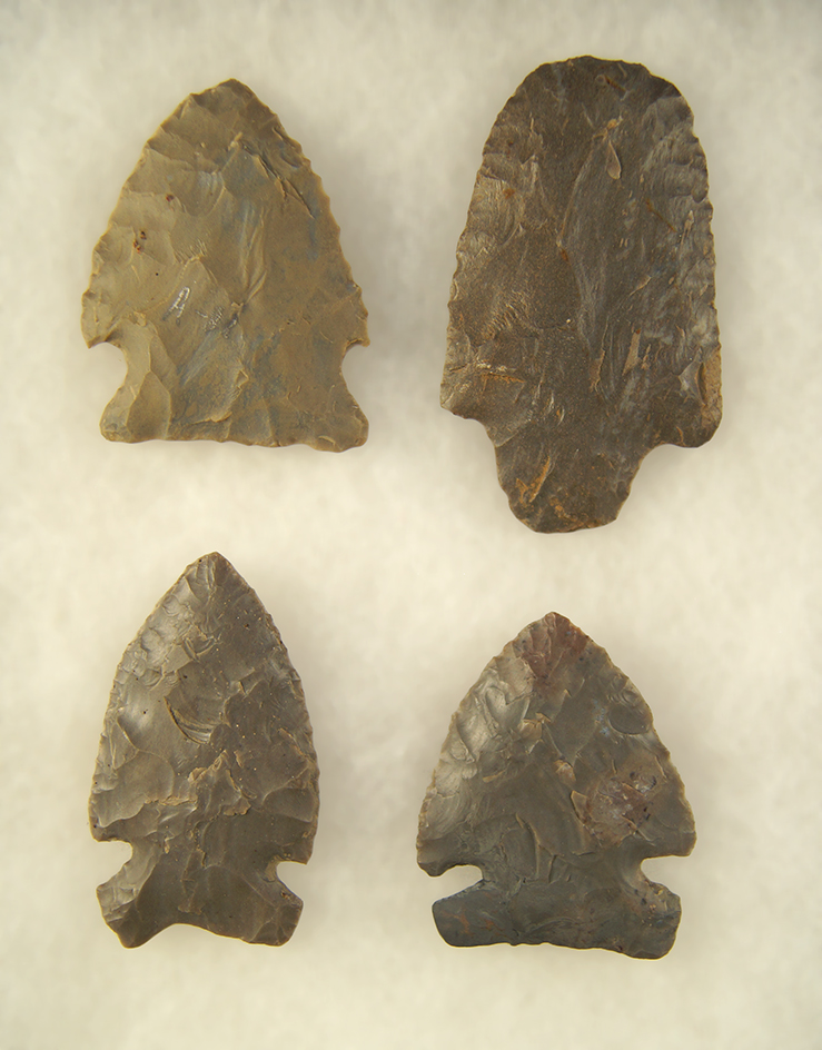 Set of 4 Hornstone Arrowheads found in Western Ohio - largest is 2 3/4".