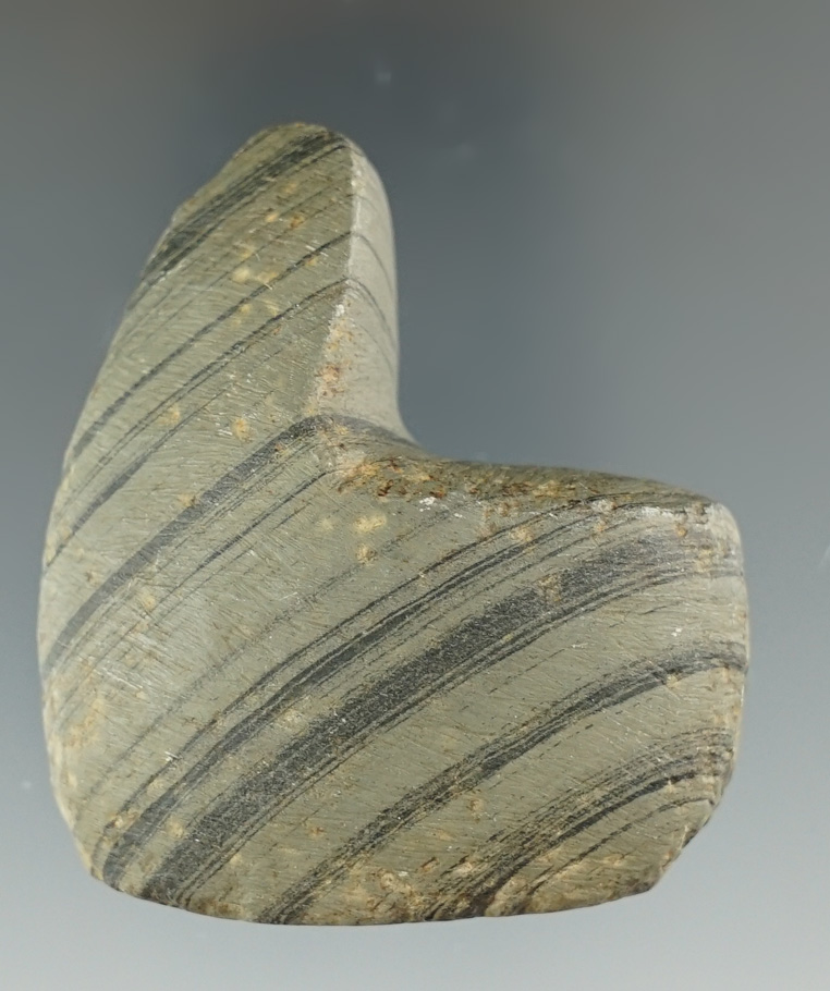 2 1/4" Undrilled Geniculate made from green Banded Glacial Slate, found in Gibson Co., Indiana.