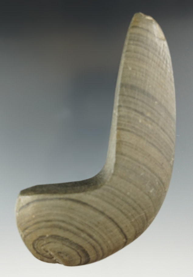 4 3/16" Undrilled Geniculate made from Banded Glacial Slate, found in Scioto Co., Ohio.